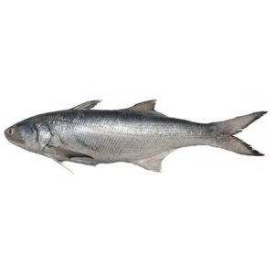 kaala